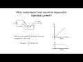 2. RC Circuit and Nernst Potential