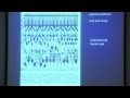 Lec 2: Basic layout of the visual system and the retina