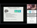 Lecture 6.4: Rebecca Saxe - MVPA: Window on the Mind via fMRI Part 2