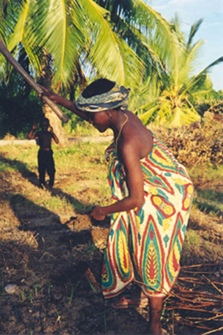 A woman in a brightly-colored dress working under a palm tree.