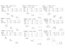 Chart containing diagrams of polo movements and measurements.