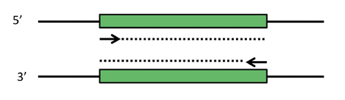 Diagram shows 5