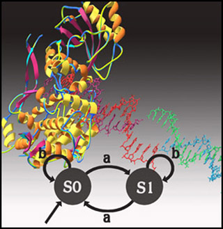 Diagram depicting DNA as a computer.