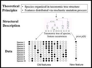 Theoretical principles diagram.