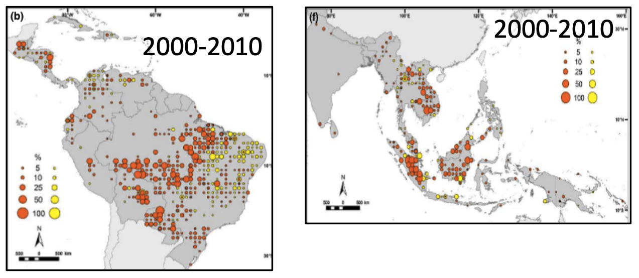 Two maps showing some lost forest areas.