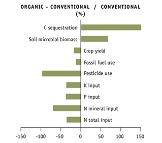 A bar chart with 9 bars.