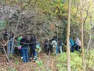 Students looking at an exposure of rock.