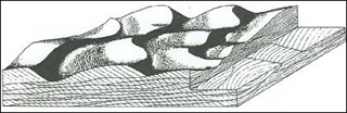 Cross-stratification of 3-D dunes in unidirectional flows.