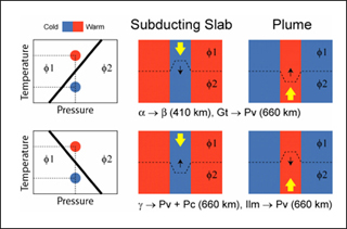 The Clapeyron slopes of mantle phase boundaries and mantle convection.