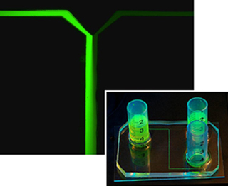  Microfluidic, laminar flow chamber.