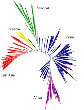 A branched-tree diagram.