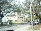 A tree lined street in a neighborhood. A large yellow building is in the background.