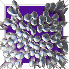 watershed transformation