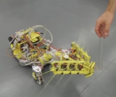 Photo of a mobile robot  with long "whiskers" protruding to the sides, brushing the whiskers on a person's hand.